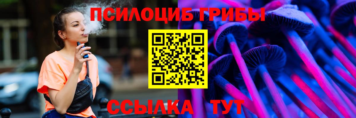 Псилоцибиновые грибы мицелий Гай
